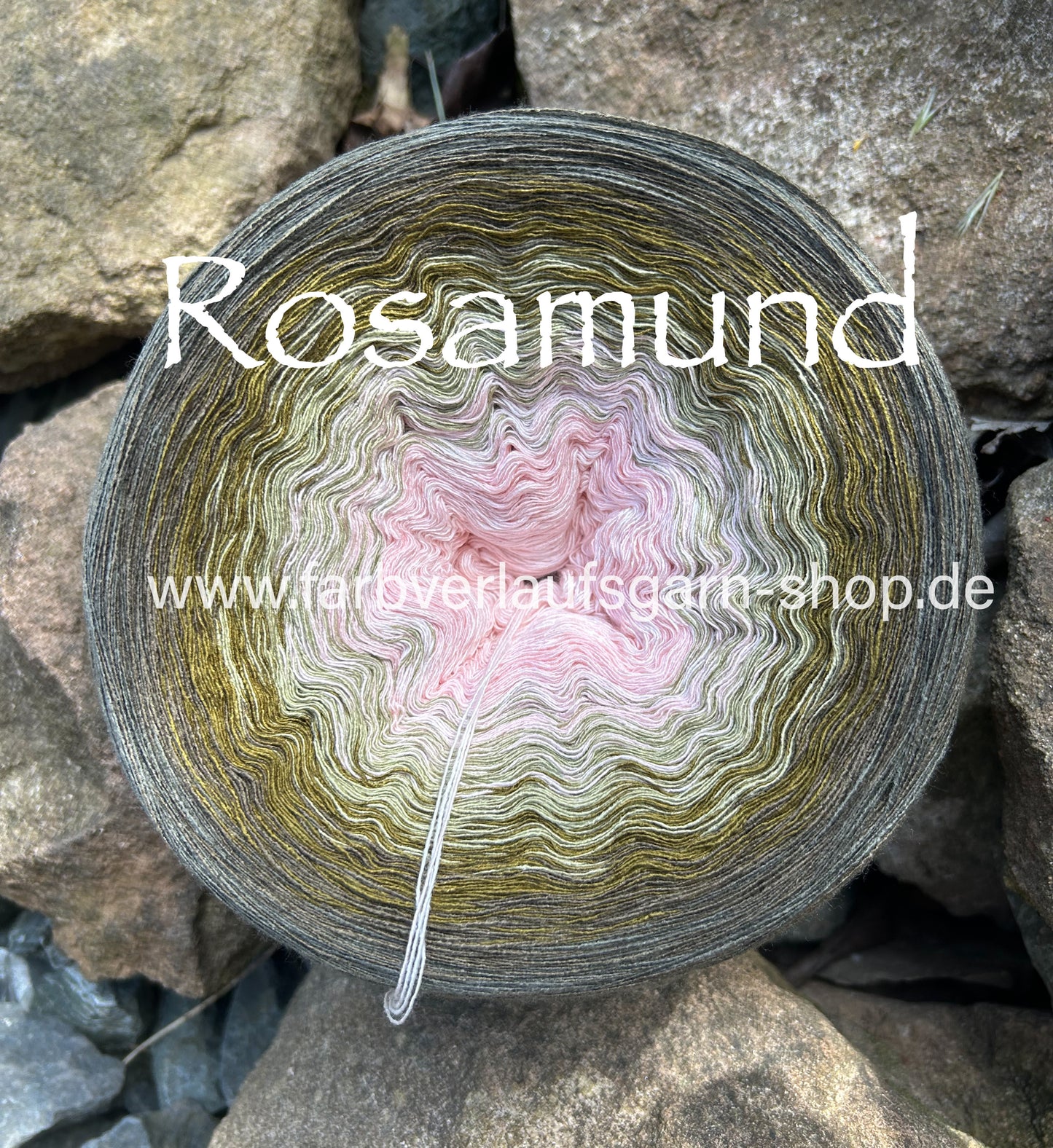 Rosamund