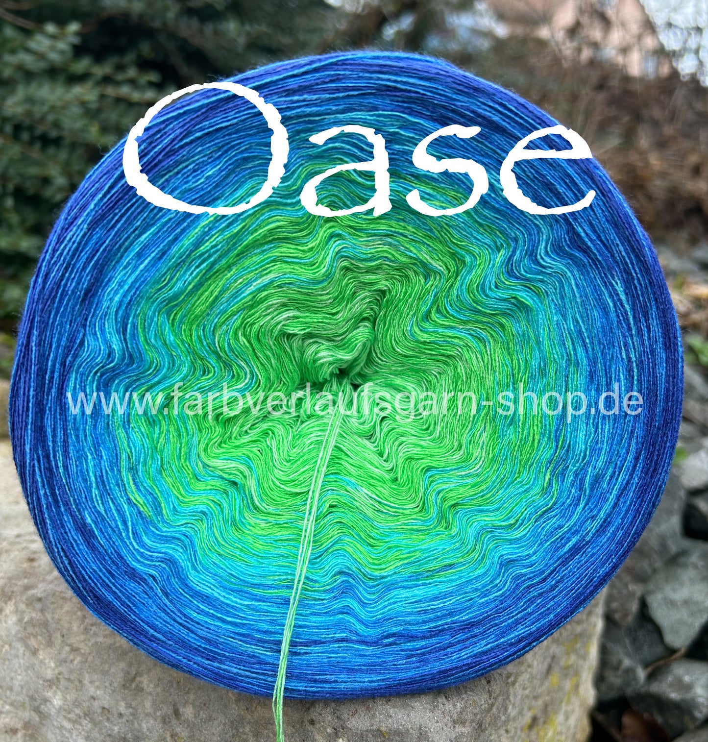 Oase
