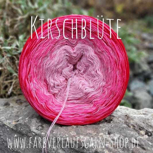 Kirschblüte