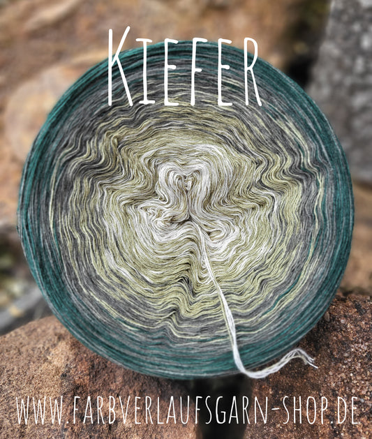Kiefer