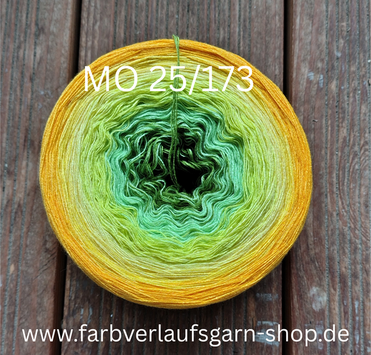 MO 25/173